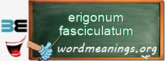 WordMeaning blackboard for erigonum fasciculatum